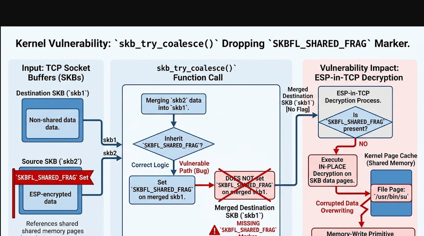 vulnerabilidad fragnesia linux diagrama explicativo