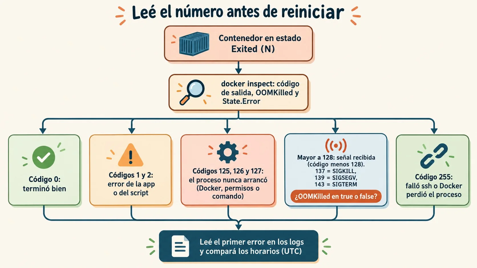 exit code docker diagrama explicativo